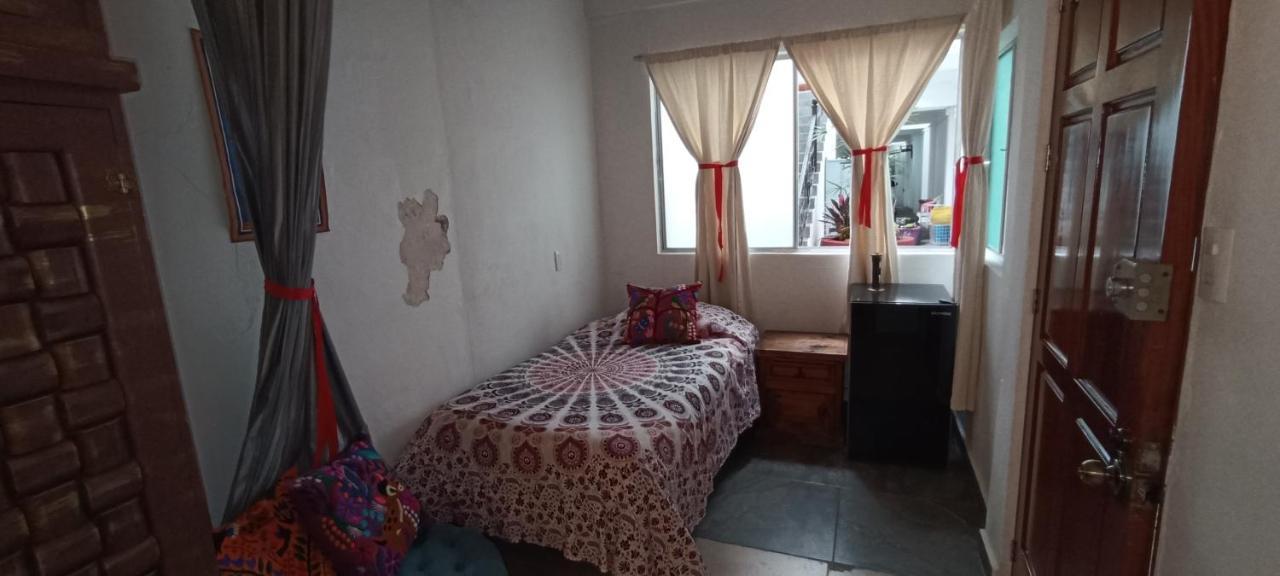 Casa Kalidy Coyoacan Meksyk Zewnętrze zdjęcie